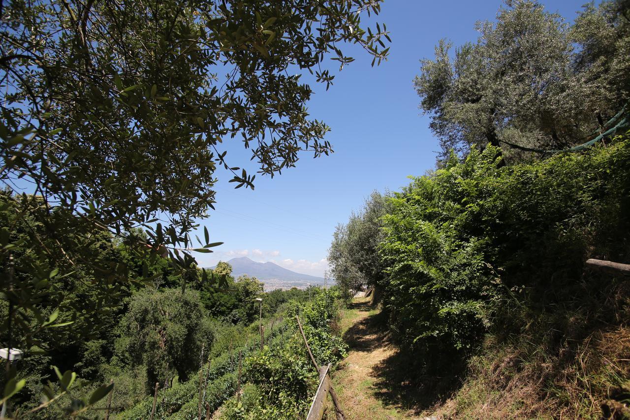 Villa Catie Castellammare di Stabia Eksteriør bilde