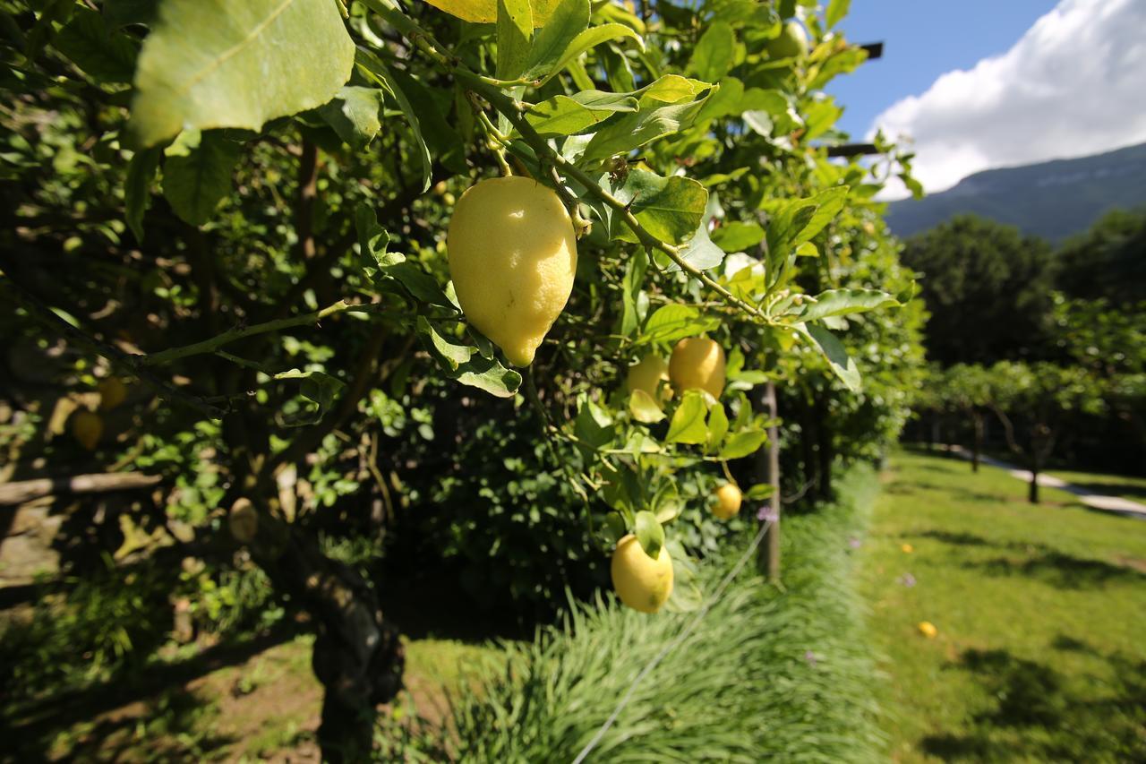 Villa Catie Castellammare di Stabia Eksteriør bilde